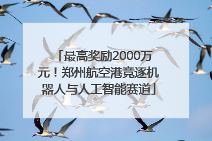 最高奖励2000万元！郑州航空港竞逐机器人与人工智能赛道