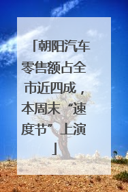 朝阳汽车零售额占全市近四成，本周末“速度节”上演