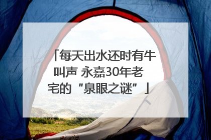 每天出水还时有牛叫声 永嘉30年老宅的“泉眼之谜”