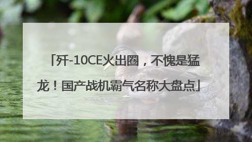 歼-10CE火出圈，不愧是猛龙！国产战机霸气名称大盘点