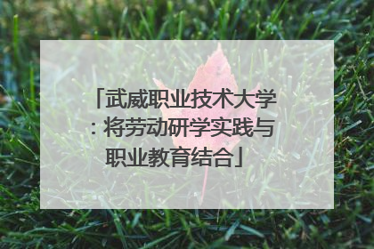 武威职业技术大学：将劳动研学实践与职业教育结合