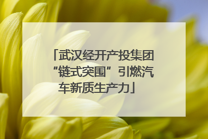 武汉经开产投集团“链式突围”引燃汽车新质生产力