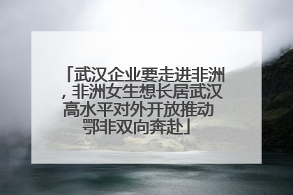 武汉企业要走进非洲，非洲女生想长居武汉 高水平对外开放推动鄂非双向奔赴