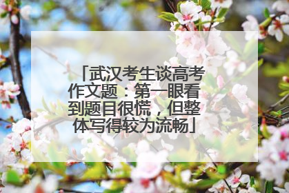 武汉考生谈高考作文题：第一眼看到题目很慌，但整体写得较为流畅