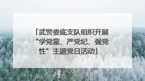 武警娄底支队组织开展“学党章、严党纪、强党性”主题党日活动