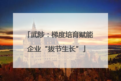 武陟：梯度培育赋能企业“拔节生长”
