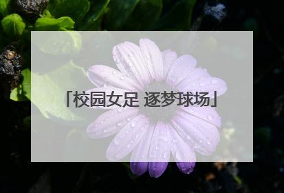 校园女足 逐梦球场