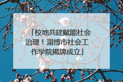 校地共建赋能社会治理！淄博市社会工作学院揭牌成立