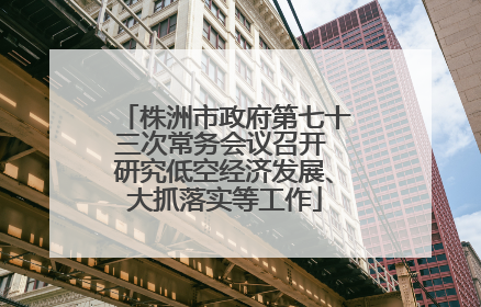 株洲市政府第七十三次常务会议召开 研究低空经济发展、大抓落实等工作
