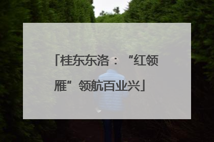 桂东东洛：“红领雁”领航百业兴