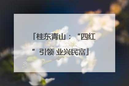 桂东青山：“四红”引领 业兴民富
