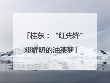 桂东：“红先锋”邓耀明的油茶梦