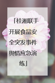 桂湘联手开展食品安全突发事件舆情应急演练