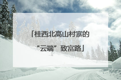 桂西北高山村寨的“云端”致富路