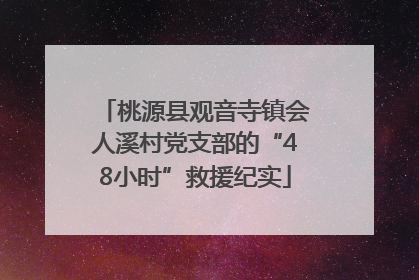 桃源县观音寺镇会人溪村党支部的“48小时”救援纪实