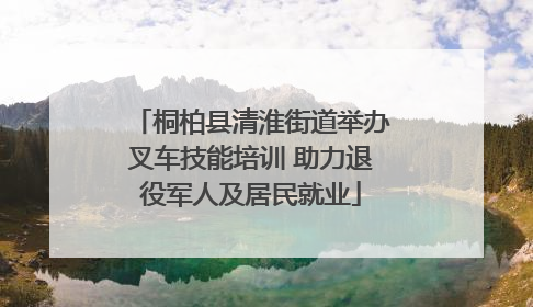 桐柏县清淮街道举办叉车技能培训 助力退役军人及居民就业