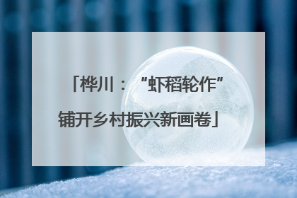 桦川：“虾稻轮作”铺开乡村振兴新画卷