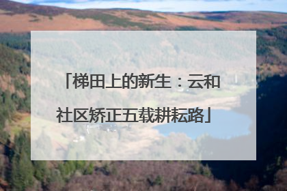 梯田上的新生：云和社区矫正五载耕耘路