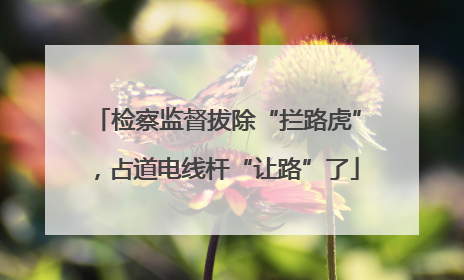 检察监督拔除“拦路虎”，占道电线杆“让路”了