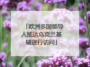 欧洲多国领导人抵达乌克兰基辅进行访问
