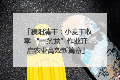 濮阳清丰：小麦丰收季 “一条龙”作业开启农业高效新篇章