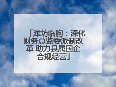 潍坊临朐：深化财务总监委派制改革 助力县属国企合规经营