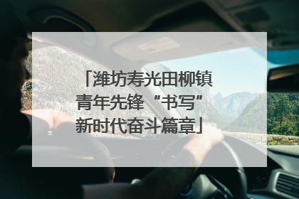 潍坊寿光田柳镇青年先锋“书写”新时代奋斗篇章