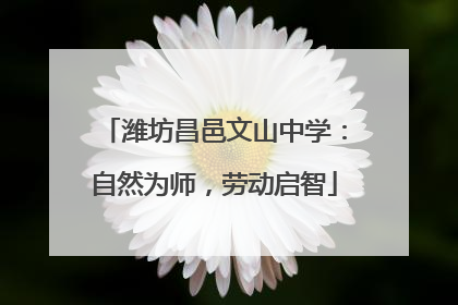 潍坊昌邑文山中学：自然为师，劳动启智