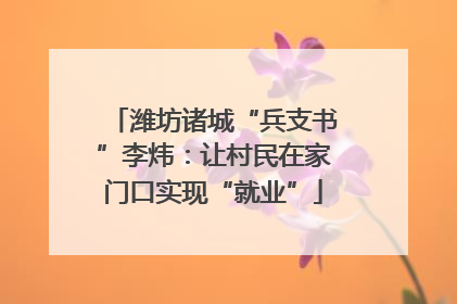 潍坊诸城“兵支书”李炜：让村民在家门口实现“就业”