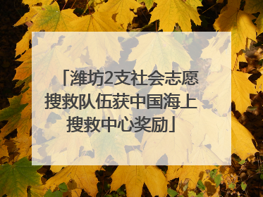 潍坊2支社会志愿搜救队伍获中国海上搜救中心奖励