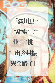 潢川县：“甜蜜”产业  “桃”出乡村振兴金路子