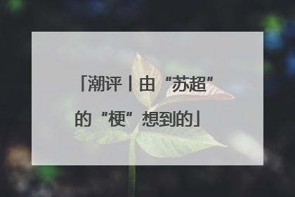 潮评丨由“苏超”的“梗”想到的