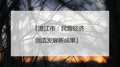 澄江市：民营经济创造发展新成果