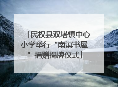 民权县双塔镇中心小学举行“南溟书屋”捐赠揭牌仪式