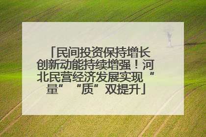 民间投资保持增长 创新动能持续增强！河北民营经济发展实现“量”“质”双提升