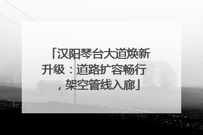 汉阳琴台大道焕新升级：道路扩容畅行，架空管线入廊