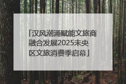 汉风潮涌赋能文旅商融合发展2025未央区文旅消费季启幕