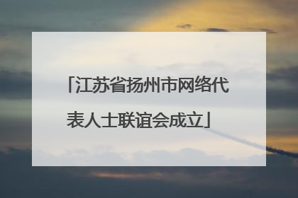 江苏省扬州市网络代表人士联谊会成立