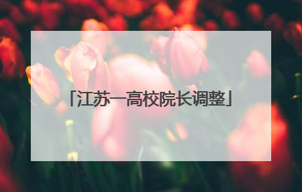江苏一高校院长调整