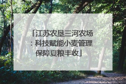 江苏农垦三河农场：科技赋能小麦管理保障夏粮丰收
