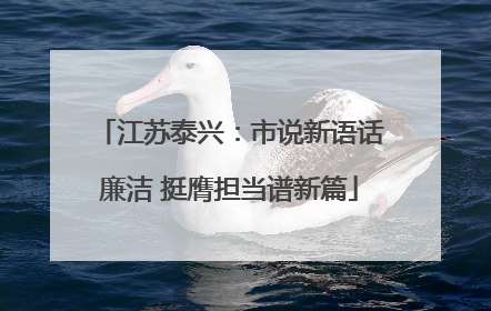 江苏泰兴：市说新语话廉洁 挺膺担当谱新篇