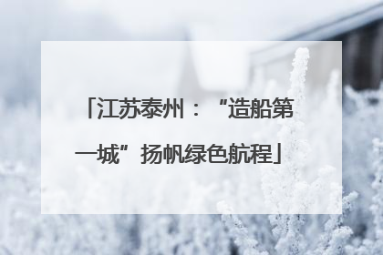 江苏泰州：“造船第一城”扬帆绿色航程