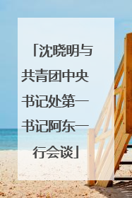 沈晓明与共青团中央书记处第一书记阿东一行会谈
