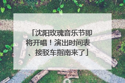 沈阳玫瑰音乐节即将开唱！演出时间表、接驳车指南来了