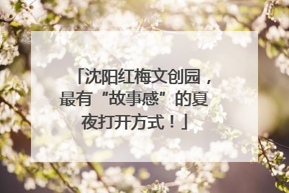 沈阳红梅文创园，最有“故事感”的夏夜打开方式！