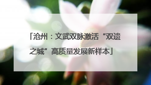 沧州：文武双脉激活“双遗之城”高质量发展新样本