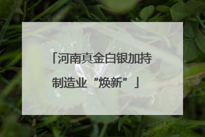 河南真金白银加持制造业“焕新”