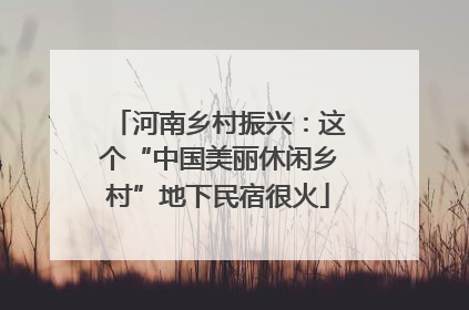 河南乡村振兴：这个“中国美丽休闲乡村”地下民宿很火