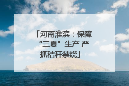 河南淮滨：保障“三夏”生产 严抓秸秆禁烧