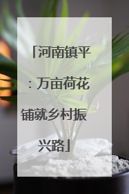 河南镇平：万亩荷花铺就乡村振兴路